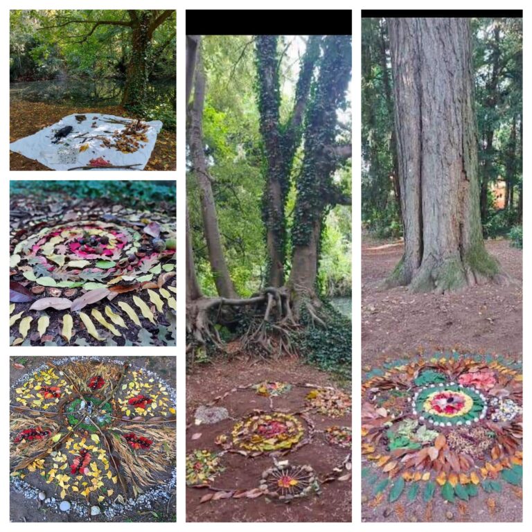 mandala land art (1)-1